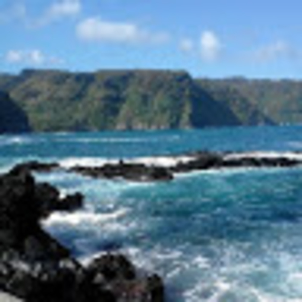 Meet your Posher, Faye